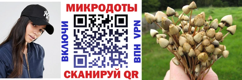 Галлюциногенные грибы мухоморы где купить Черкесск